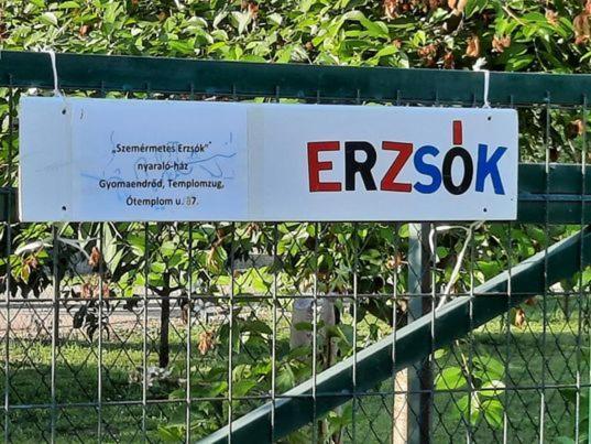 Szemermetes Erzsok Nyaralohaz Villa Gyomaendrőd Eksteriør bilde